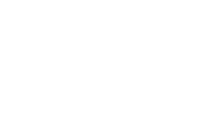 Lene Studio | Consultoria em Design de Experiencia e Inovação